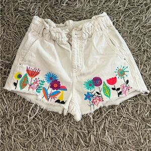 Hand painted up-cycle Shorts